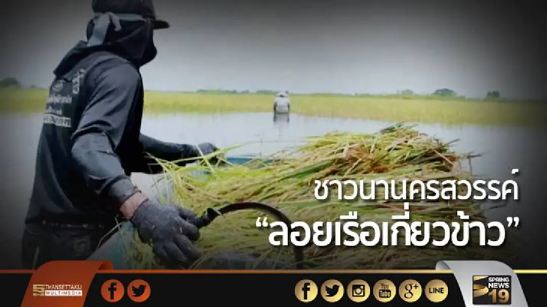 พิษน้ำท่วม! ชาวนานครสวรรค์ “ลอยเรือเกี่ยวข้าว” พิษน้ำท่วม! ชาวนานครสวรรค์ “ลอยเรือเกี่ยวข้าว”