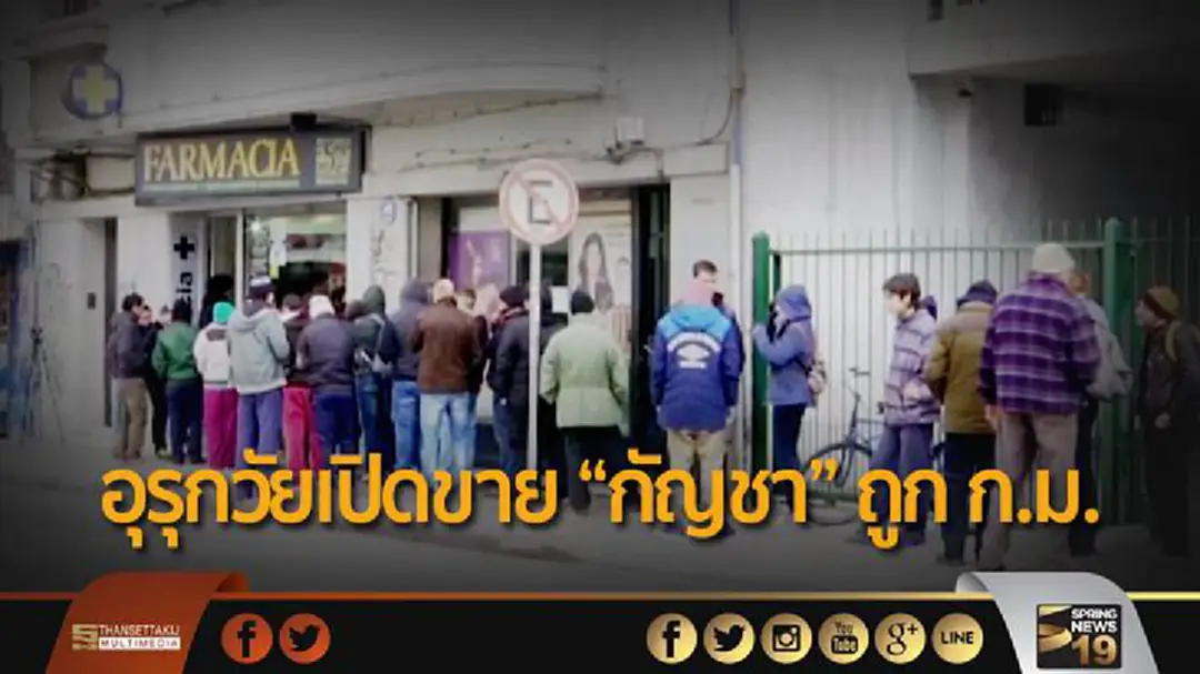 ต่อแถวยาว! ร้านขายยาในอุรุกวัย เปิดขาย “กัญชา” ถูก ก.ม. ต่อแถวยาว! ร้านขายยาในอุรุกวัย เปิดขาย “กัญชา” ถูก ก.ม.
