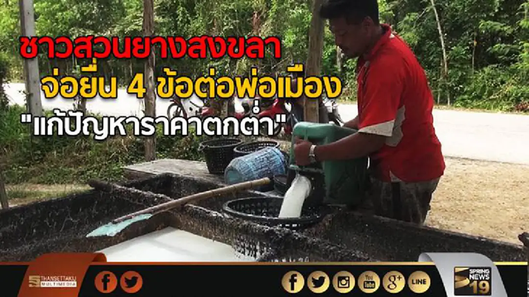ชาวสวนยางสงขลา จ่อยื่น 4 ข้อต่อพ่อเมือง เเก้ปัญหาราคาตกต่ำ ชาวสวนยางสงขลา จ่อยื่น 4 ข้อต่อพ่อเมือง เเก้ปัญหาราคาตกต่ำ