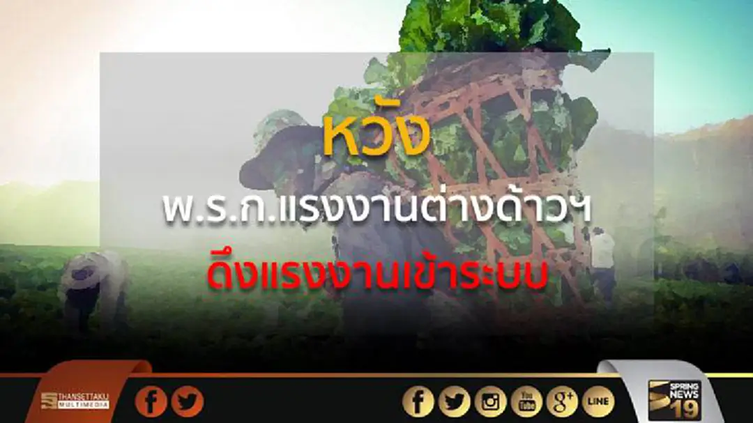 สศก. คาดแรงงานต่างด้าวภาคเกษตร กลับประเทศแล้ว25,500คน หวัง พ.ร.ก.แรงงานต่างด้าวฯ ช่วยดึงแรงงานเข้าระบบ สศก. คาดแรงงานต่างด้าวภาคเกษตร กลับประเทศแล้ว25,500คน หวัง พ.ร.ก.แรงงานต่างด้าวฯ ช่วยดึงแรงงานเข้าระบบ