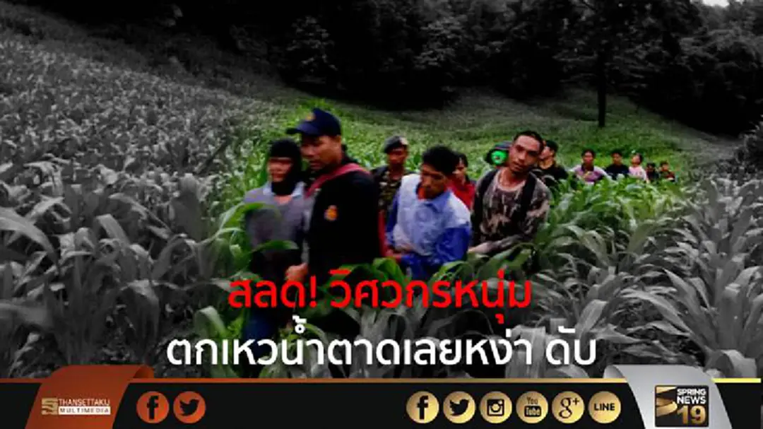 สลด! วิศวกรหนุ่ม ตกเหวน้ำตาดเลยหง่า ดับ สลด! วิศวกรหนุ่ม ตกเหวน้ำตาดเลยหง่า ดับ
