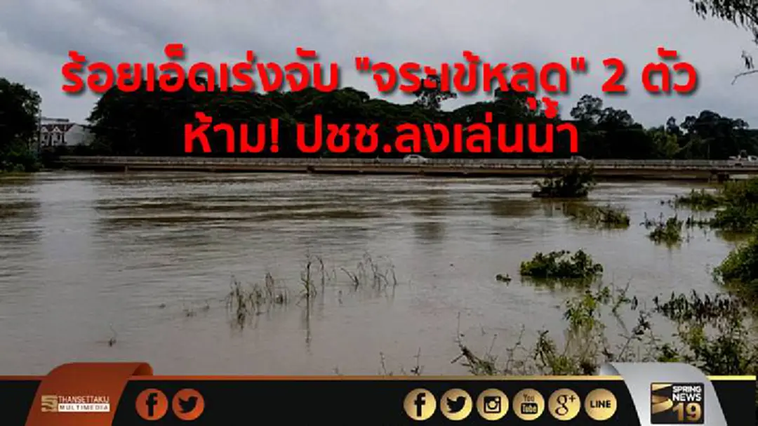 ร้อยเอ็ดเร่งจับ "จระเข้หลุด" 2 ตัว  ห้าม! ปชช.ลงเล่นน้ำ