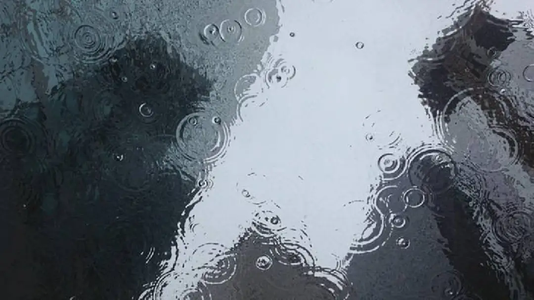 พกร่มใส่กระเป๋า! กทม. ฝนมากช่วงบ่ายถึงค่ำ พกร่มใส่กระเป๋า! กทม. ฝนมากช่วงบ่ายถึงค่ำ