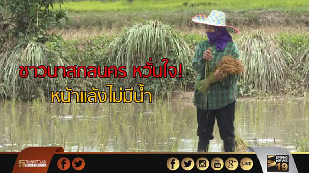 ชาวนาสกลนคร หวั่นใจหน้าแล้งไม่มีน้ำ ชาวนาสกลนคร หวั่นใจหน้าแล้งไม่มีน้ำ