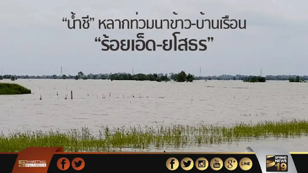 "น้ำชี" หลากท่วมนาข้าว-บ้านเรือน "ร้อยเอ็ด-ยโสธร" "น้ำชี" หลากท่วมนาข้าว-บ้านเรือน "ร้อยเอ็ด-ยโสธร"