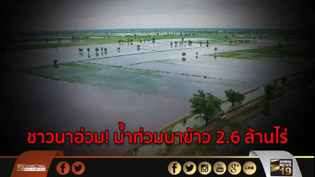 ชาวนาอ่วม! น้ำท่วมนาข้าว 2.6 ล้านไร่ ชาวนาอ่วม! น้ำท่วมนาข้าว 2.6 ล้านไร่