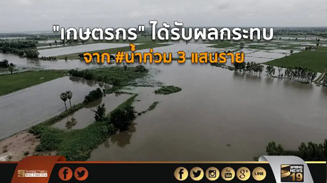 "เกษตรกร" ได้รับผลกระทบจาก #น้ำท่วม 3 แสนราย "เกษตรกร" ได้รับผลกระทบจาก #น้ำท่วม 3 แสนราย