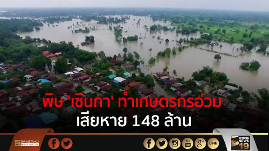 พิษ 'เซินกา' ทำเกษตรกรอ่วม เสียหาย 148 ล้าน พิษ 'เซินกา' ทำเกษตรกรอ่วม เสียหาย 148 ล้าน