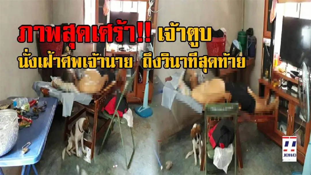 สะเทือนทั้งหัวใจ!! ชายวัย66 เมียตายได้ 4 เดือน ยังเฝ้าคิดถึงทุกวัน สุดท้ายนอนตรอมใจดับคาบ้าน มีเพียงหมาน้อยคู่ใจ นั่งเฝ้าศพอยู่ไม่ห่าง!? สะเทือนทั้งหัวใจ!! ชายวัย66 เมียตายได้ 4 เดือน ยังเฝ้าคิดถึงทุกวัน สุดท้ายนอนตรอมใจดับคาบ้าน มีเพียงหมาน้อยคู่ใจ นั่งเฝ้าศพอยู่ไม่ห่าง!?