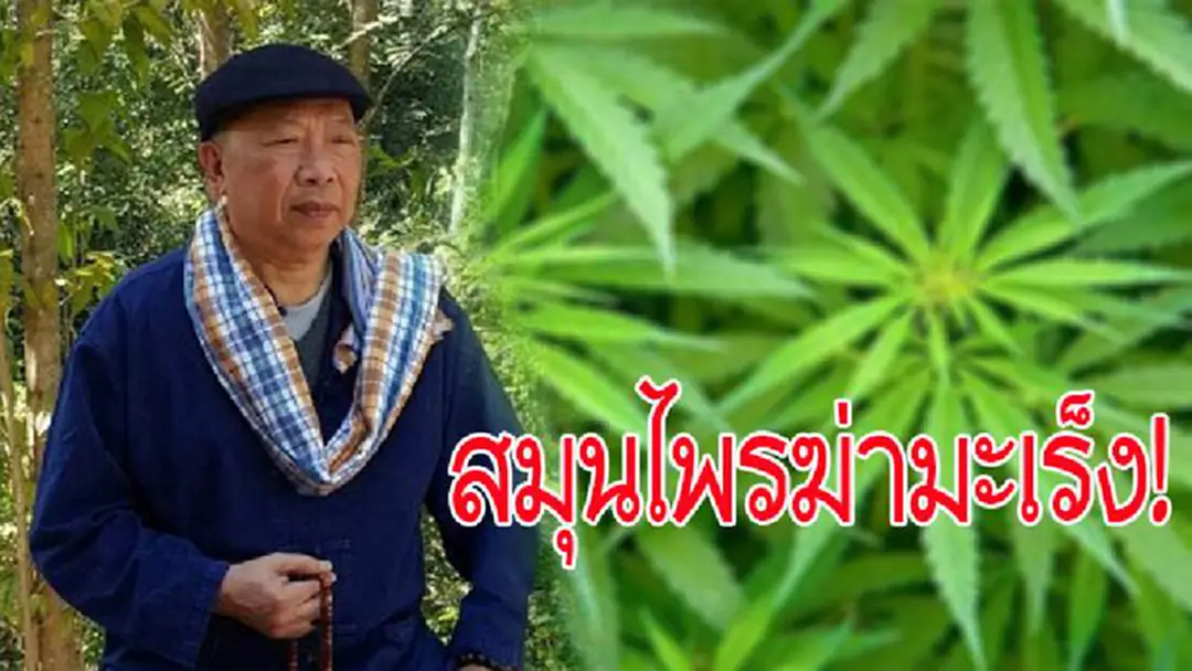 สมุนไพรฆ่ามะเร็ง!!!“ไพศาล พืชมงคล”ยันคนใกล้ตัวเลิกคีโมรักษาแพทย์ทางเลือก