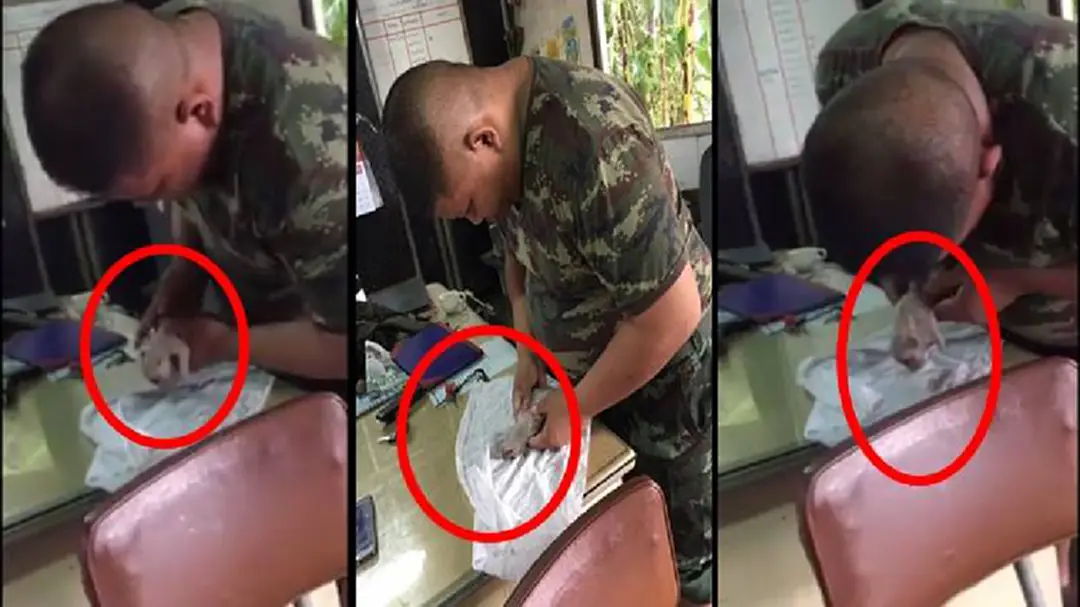 ได้ใจชาวเน็ตไปเต็มๆ!! วินาทีพี่ทหารทำ CPR ช่วยชีวิตหมาน้อยจมน้ำ ลุ้นกันหนักมาก(มีคลิป)