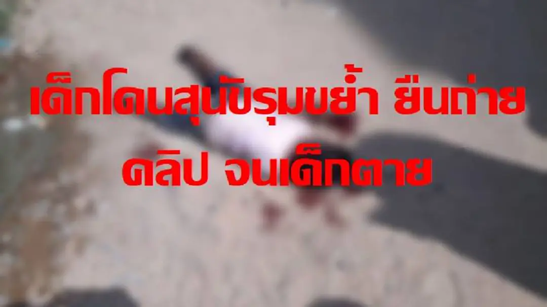 เด็กถูกสุนัขจรจัด รุมกัด เพื่อนบ้านกลับคว้าโทรศัพท์ถ่ายคลิป ผลสุดท้ายเด็กตาย (คลิป) เด็กถูกสุนัขจรจัด รุมกัด เพื่อนบ้านกลับคว้าโทรศัพท์ถ่ายคลิป ผลสุดท้ายเด็กตาย (คลิป)