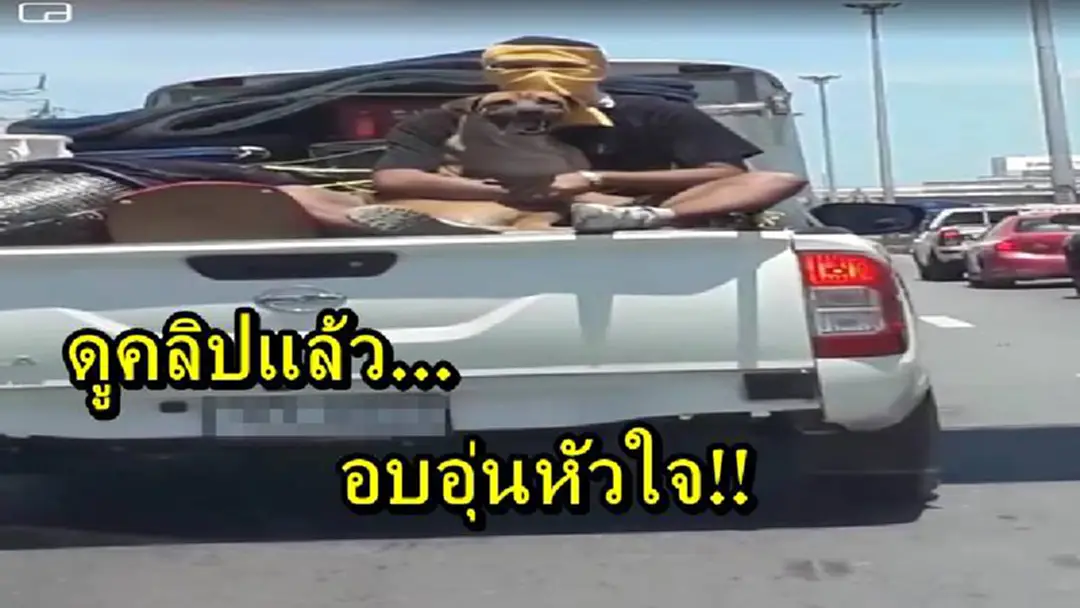เพื่อนแท้สี่ขา!! โซเชียลแห่แชร์ คลิปชายท้ายกระบะเอาเสื้อคลุมตัวสุนัข พร้อมกอดแน่น สื่อถึงความผูกพันธ์ระหว่างกันอย่างอบอุ่นหัวใจ
