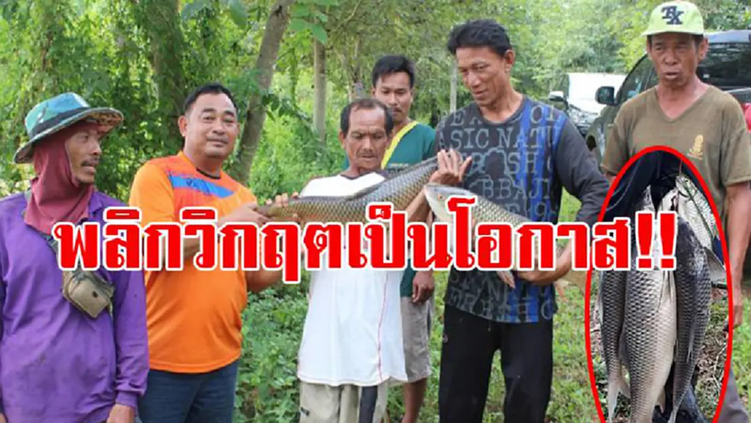 พลิกวิกฤตเป็นโอกาส!! น้ำป่าทะลักลงอ่างเก็บน้ำกลางหมู่บ้าน ปลายักษ์น็อคน้ำลอยคอ ชาวบ้านแห่แย่งกันจับได้เกือบตัน (มีคลิป) พลิกวิกฤตเป็นโอกาส!! น้ำป่าทะลักลงอ่างเก็บน้ำกลางหมู่บ้าน ปลายักษ์น็อคน้ำลอยคอ ชาวบ้านแห่แย่งกันจับได้เกือบตัน (มีคลิป)