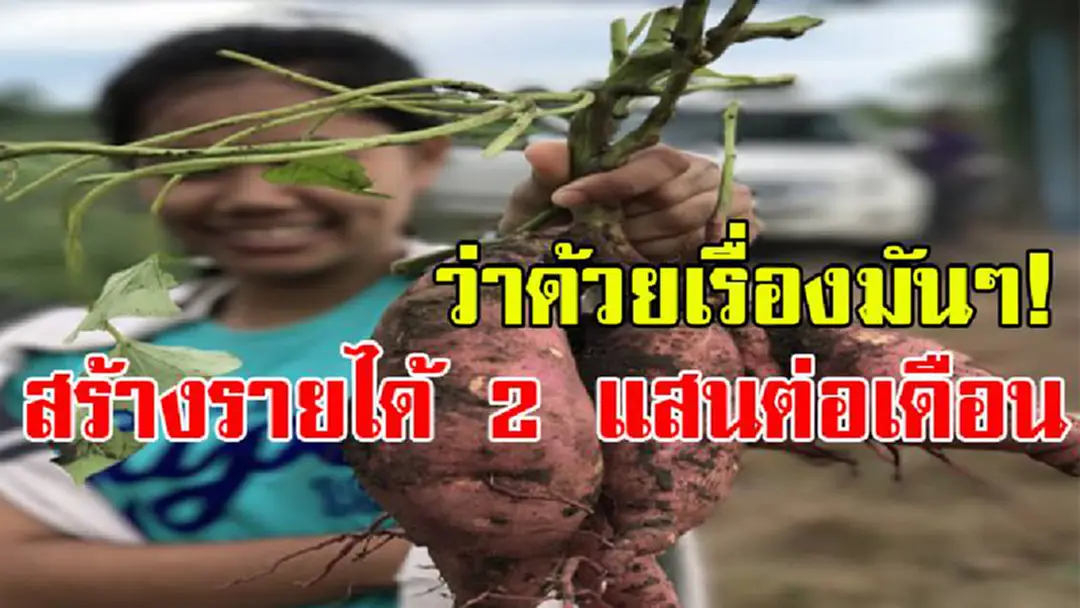 งานนี้รวยเละ!!! 2 แสนต่อเดือน!! ว่าด้วยเรื่องมันๆ ที่ทำเงินเข้ากระเป๋าแบบเน้นๆ!!! (มีคลิป) งานนี้รวยเละ!!! 2 แสนต่อเดือน!! ว่าด้วยเรื่องมันๆ ที่ทำเงินเข้ากระเป๋าแบบเน้นๆ!!! (มีคลิป)