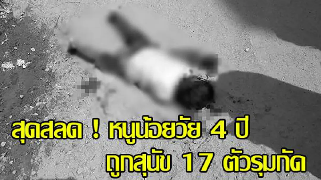 นาทีชีวิต !! “หนูน้อยวัย 4 ขวบ” กรีดร้องอย่างทรมาน หลังถูกสุนัขกว่า 17 ตัวรุมกัด ! กลับต้องอึ้งเมื่อเห็นปฏิกิริยาชาวบ้าน ! (คลิป) นาทีชีวิต !! “หนูน้อยวัย 4 ขวบ” กรีดร้องอย่างทรมาน หลังถูกสุนัขกว่า 17 ตัวรุมกัด ! กลับต้องอึ้งเมื่อเห็นปฏิกิริยาชาวบ้าน ! (คลิป)