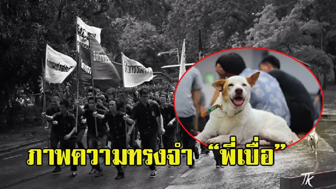 รวมภาพความทรงจำสุดประทับใจ "พี่เบื่อ" ขวัญใจรุ่นเก๋าของชาวมช. รวมภาพความทรงจำสุดประทับใจ "พี่เบื่อ" ขวัญใจรุ่นเก๋าของชาวมช.