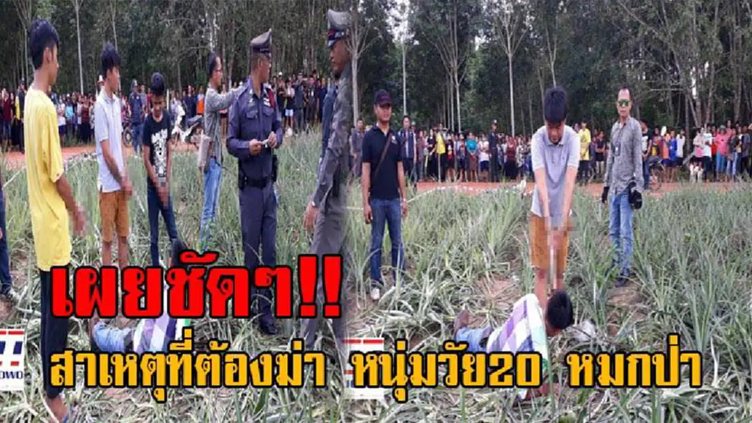 เผยปมสังหารโหด!! จนท.นำตัว 3โจ๋ ฆ่าหนุ่มวัย20 หมกป่าสับปะรด ทำแผนท่ามกลางชาวบ้านมุงดูหลายร้อยคน พร้อมยืนยันชัดๆ ถึงสาเหตุที่ต้องฆ่า!?