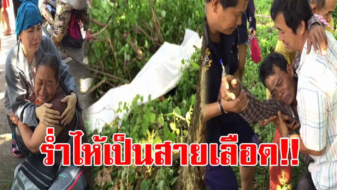 สะเทือนทั้งหัวใจ!! พ่อแม่ถึงกับเข่าทรุด ร่ำไห้แทบขาดใจ เมื่อเห็นศพลูกสาว พร้อมแฟนหนุ่ม หลังขี่จยย.แหกโค้งชนต้นไม้ ดับสยองทั้งคู่..!? (คลิป) สะเทือนทั้งหัวใจ!! พ่อแม่ถึงกับเข่าทรุด ร่ำไห้แทบขาดใจ เมื่อเห็นศพลูกสาว พร้อมแฟนหนุ่ม หลังขี่จยย.แหกโค้งชนต้นไม้ ดับสยองทั้งคู่..!? (คลิป)