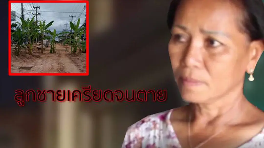 เหตุที่เกิดขึ้นจะโทษใครได้ แม่เผยหนุ่มปลูกต้นกล้วยประชดก่อสร้างถนน เครียดตายแล้ว เหตุที่เกิดขึ้นจะโทษใครได้ แม่เผยหนุ่มปลูกต้นกล้วยประชดก่อสร้างถนน เครียดตายแล้ว