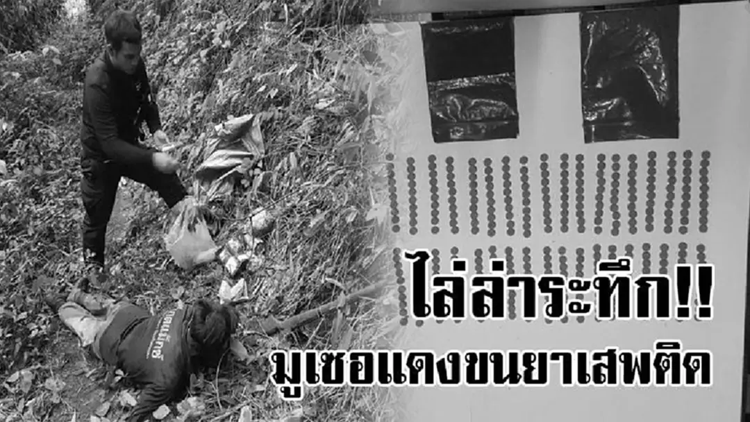 มันมากับขนม..!? จนท.เข้ารวบไอ้หนุ่มแสบ แอบเอายานรกใส่ถุงขนมตบตาจนท. คิดว่าตัวเองจะรอด สุดท้ายก็ต้องรับกรรมติดคุกหัวโต!? มันมากับขนม..!? จนท.เข้ารวบไอ้หนุ่มแสบ แอบเอายานรกใส่ถุงขนมตบตาจนท. คิดว่าตัวเองจะรอด สุดท้ายก็ต้องรับกรรมติดคุกหัวโต!?