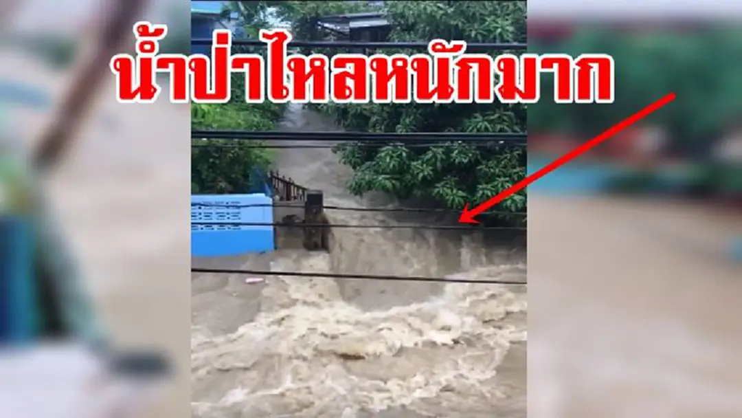 ศรีราชา อ่วม น้ำป่าไหลหลากหนักมาก ขอให้ปชช.คอยระมัดระวัง(คลิป) ศรีราชา อ่วม น้ำป่าไหลหลากหนักมาก ขอให้ปชช.คอยระมัดระวัง(คลิป)
