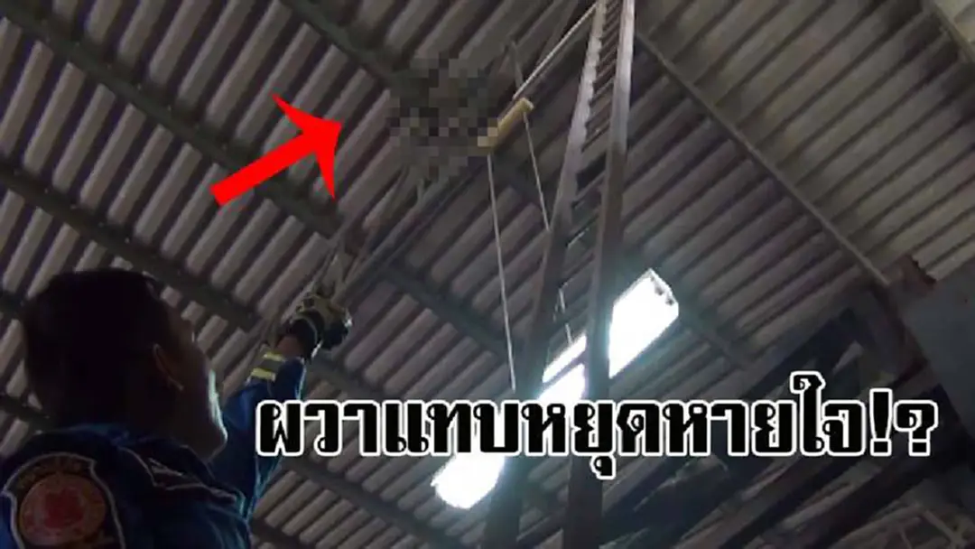 งานนี้ไม่เผ่นก็บ้าแล้ว !! คนงานเดินอยู่ เห็นอะไรแวบๆ จึงมองขึ้นไปบนหลังคาโกดัง ทำเอาถึงกับขนหัวลุกซู่ ไอ้บ้าเอ๊ย..ขึ้นไปทำอะไรบนนั้น..? งานนี้ไม่เผ่นก็บ้าแล้ว !! คนงานเดินอยู่ เห็นอะไรแวบๆ จึงมองขึ้นไปบนหลังคาโกดัง ทำเอาถึงกับขนหัวลุกซู่ ไอ้บ้าเอ๊ย..ขึ้นไปทำอะไรบนนั้น..?