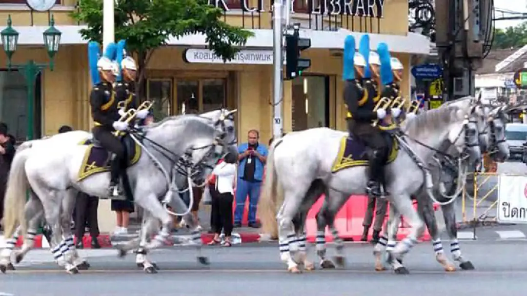 ซ้อมย่อยริ้วขบวนพระบรมราชอิสริยยศ "ริ้วขบวนที่ 6" ซ้อมย่อยริ้วขบวนพระบรมราชอิสริยยศ "ริ้วขบวนที่ 6"