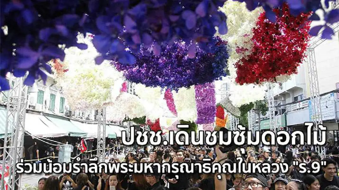 ปชช.เดินชมซุ้มดอกไม้ ร่วมน้อมรำลึกพระมหากรุณาธิคุณในหลวง "ร.9" ปชช.เดินชมซุ้มดอกไม้ ร่วมน้อมรำลึกพระมหากรุณาธิคุณในหลวง "ร.9"