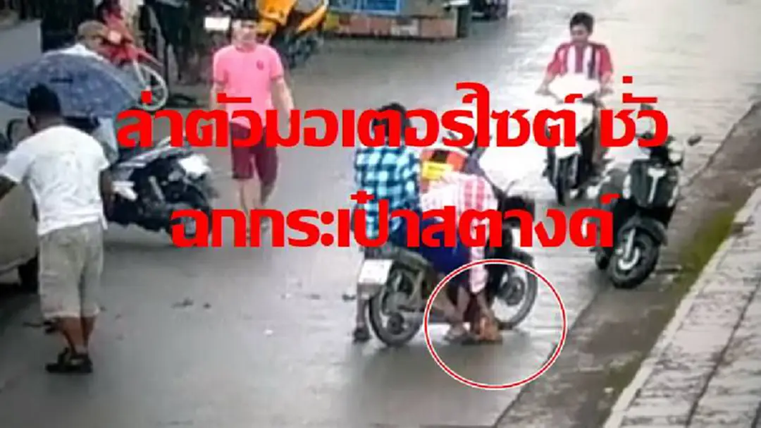 สาวขี่มอร์เตอร์ไซต์ ชนท้ายกระบะ ล้มกลางถนน มอเตอร์ไซต์ชั่ว ไม่ช่วย กลับฉกกระเป๋าสตางค์ หนีทันที (คลิป) สาวขี่มอร์เตอร์ไซต์ ชนท้ายกระบะ ล้มกลางถนน มอเตอร์ไซต์ชั่ว ไม่ช่วย กลับฉกกระเป๋าสตางค์ หนีทันที (คลิป)