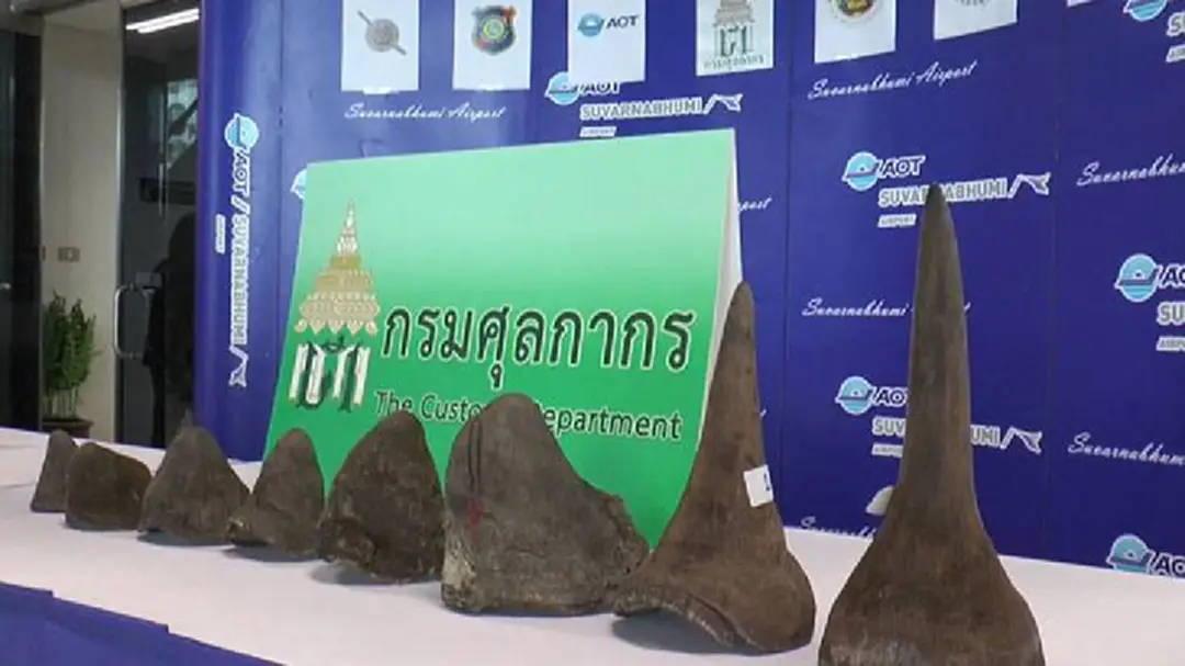 รวบ 2 ชาวจีนลักลอบขน "นอแรด" ผ่านไทยไปกัมพูชา รวบ 2 ชาวจีนลักลอบขน "นอแรด" ผ่านไทยไปกัมพูชา