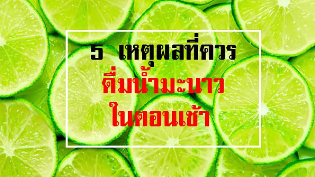 อยากสุขภาพดี ต้องอ่าน....!! 5 เหตุผลที่ควรดื่มน้ำมะนาวทุกเช้า ที่คุณอาจไม่เคยรู้...... อยากสุขภาพดี ต้องอ่าน....!! 5 เหตุผลที่ควรดื่มน้ำมะนาวทุกเช้า ที่คุณอาจไม่เคยรู้......