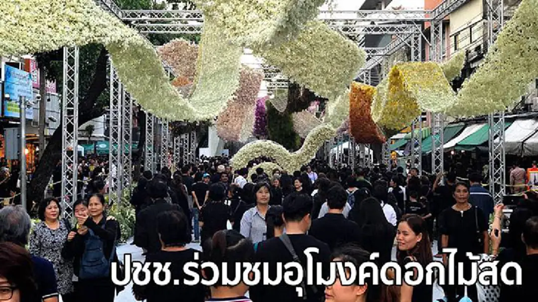 ปชช.ร่วมชมความงดงามอุโมงค์ดอกไม้สด ปชช.ร่วมชมความงดงามอุโมงค์ดอกไม้สด