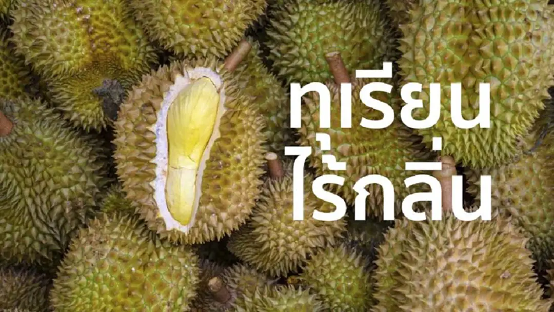 ครั้งแรกของโลก! ค้นพบยีนที่ทำให้ทุเรียนมีกลิ่นแรง เปิดทางสู่การเพาะพันธุ์“ทุเรียนไร้กลิ่น” แต่หลายคนแย้ง“ทุเรียนที่ไร้กลิ่นก็เปรียบเสมือนมนุษย์ที่ไร้จิตวิญญาณ” ครั้งแรกของโลก! ค้นพบยีนที่ทำให้ทุเรียนมีกลิ่นแรง เปิดทางสู่การเพาะพันธุ์“ทุเรียนไร้กลิ่น” แต่หลายคนแย้ง“ทุเรียนที่ไร้กลิ่นก็เปรียบเสมือนมนุษย์ที่ไร้จิตวิญญาณ”