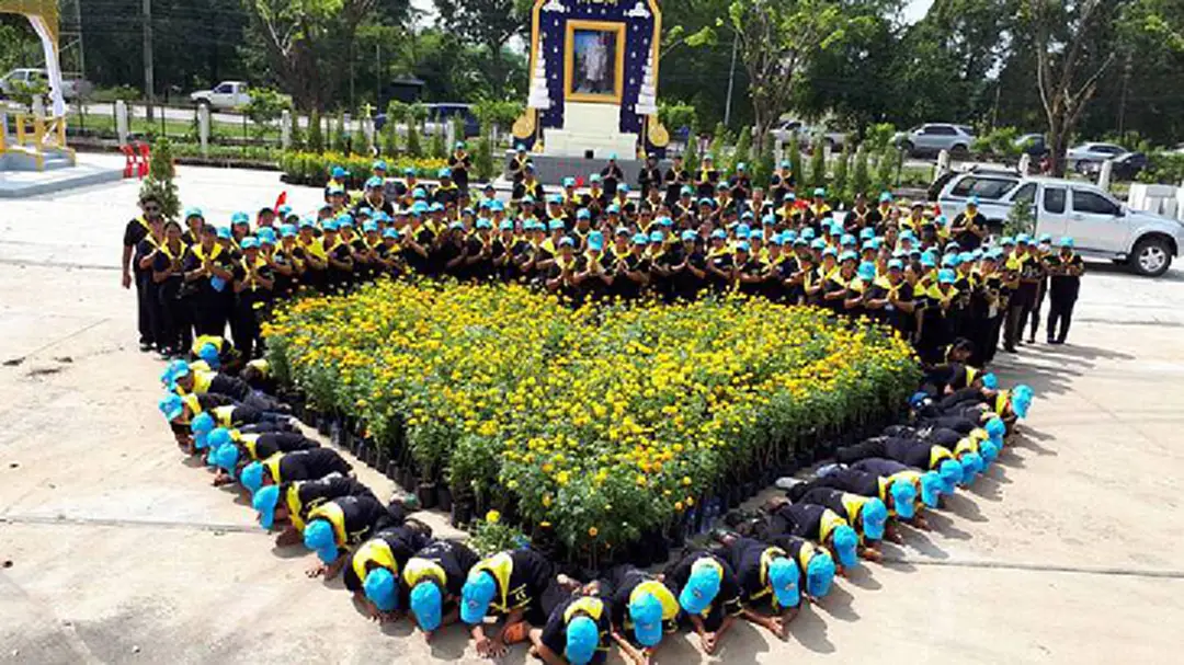 ชาวสระบุรีร่วมกิจกรรม “หนึ่งคน หนึ่งต้น ร้อยดวงใจ ถวายพ่อหลวง”นำต้นดาวเรืองตกแต่งพระเมรุมาศ ชาวสระบุรีร่วมกิจกรรม “หนึ่งคน หนึ่งต้น ร้อยดวงใจ ถวายพ่อหลวง”นำต้นดาวเรืองตกแต่งพระเมรุมาศ