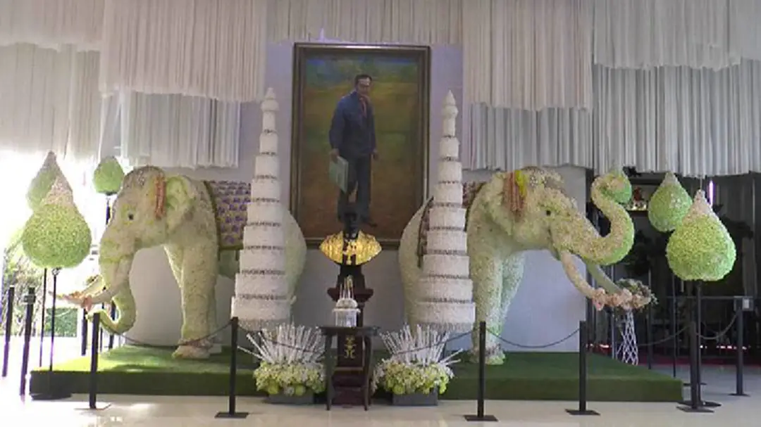 อุทยานเพลาเพลิน จ.บุรีรัมย์ จัดแสดงดอกดารารัตน์กว่า100,000ต้นที่แรกและที่เดียวในไทย น้อมอาลัยในหลวง ร.9