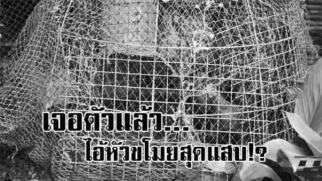 ใครขโมยไก่ข้าไป..! เจ้าของบ้าน สุดงง จู่ๆไก่ที่เลี้ยงหายไป วันหนึ่งได้ยินเสียงไก่ร้อง รีบวิ่งมาดูพร้อมญาติ เจอตัวหัวขโมย ไอ้นี่มันร้ายจริงๆ? ใครขโมยไก่ข้าไป..! เจ้าของบ้าน สุดงง จู่ๆไก่ที่เลี้ยงหายไป วันหนึ่งได้ยินเสียงไก่ร้อง รีบวิ่งมาดูพร้อมญาติ เจอตัวหัวขโมย ไอ้นี่มันร้ายจริงๆ?