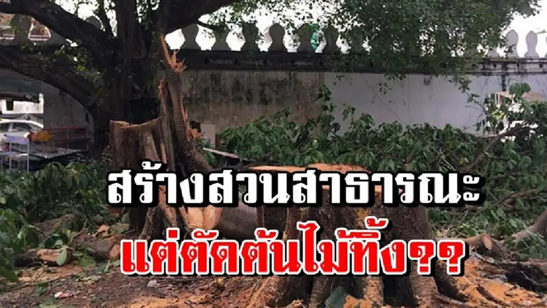 งานนี้..ต้องตอบให้ดี!!เพจดังแฉต้นไม้ใหญ่ "ป้อมมหากาฬ" โดนตัดโค่นทิ้ง หลังไล่รื้อมา 20 ปีอ้างสร้างสวนสาธารณะ..เมนท์รัวเฉ่งยับอาลัยบิ๊กกทม.?? งานนี้..ต้องตอบให้ดี!!เพจดังแฉต้นไม้ใหญ่ "ป้อมมหากาฬ" โดนตัดโค่นทิ้ง หลังไล่รื้อมา 20 ปีอ้างสร้างสวนสาธารณะ..เมนท์รัวเฉ่งยับอาลัยบิ๊กกทม.??