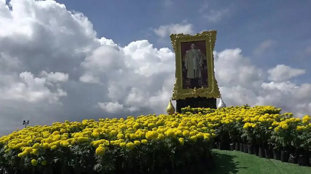 พล.ร.7 ประดับดอกดาวเรืองอย่างสมพระเกียรติถวายความอาลัยในหลวง ร.9 พล.ร.7 ประดับดอกดาวเรืองอย่างสมพระเกียรติถวายความอาลัยในหลวง ร.9