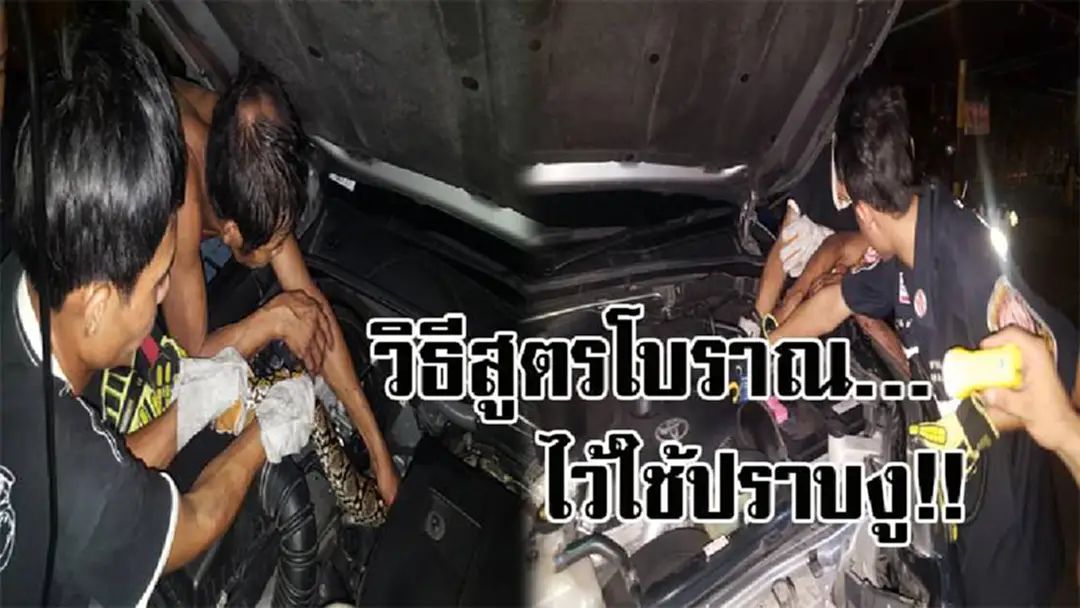 เย่อระทึกกว่า 3 ชม. !! งูเหลือมยาว 4 เมตร ซุกห้องเครื่องรถยนต์ ทำยังไงก็ไม่ยอมออก สุดท้ายต้องใช้วิธีสูตรโบราณ ของคนกัมพูชาแบบนี้..!? เย่อระทึกกว่า 3 ชม. !! งูเหลือมยาว 4 เมตร ซุกห้องเครื่องรถยนต์ ทำยังไงก็ไม่ยอมออก สุดท้ายต้องใช้วิธีสูตรโบราณ ของคนกัมพูชาแบบนี้..!?