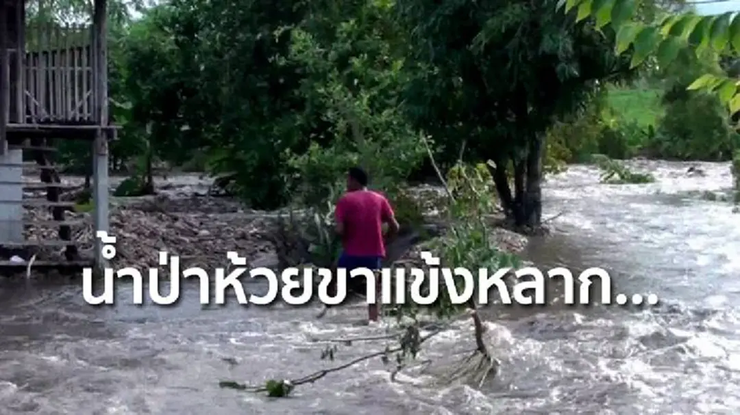 น้ำป่าห้วยขาแข้งหลาก... ทะลัก! ท่วมบ้านปชช.อุทัยธานี น้ำป่าห้วยขาแข้งหลาก... ทะลัก! ท่วมบ้านปชช.อุทัยธานี