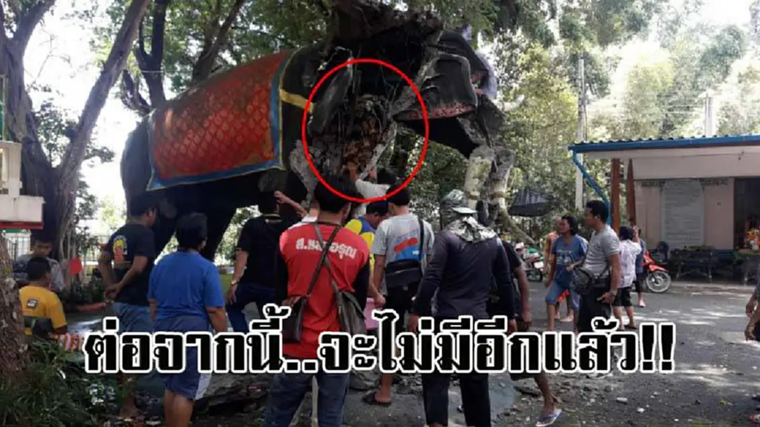 แตกตื่นกันทั้งบาง !? ชาวบ้านแห่วิ่งกรู แย่งชิงกันยกใหญ่ หลังทุบช้างสามเศียร เจอเหรียญมงคล 2,000 เหรียญ เผยเพราะต่อจากนี้ จะไม่มีอีกแล้ว..!! แตกตื่นกันทั้งบาง !? ชาวบ้านแห่วิ่งกรู แย่งชิงกันยกใหญ่ หลังทุบช้างสามเศียร เจอเหรียญมงคล 2,000 เหรียญ เผยเพราะต่อจากนี้ จะไม่มีอีกแล้ว..!!