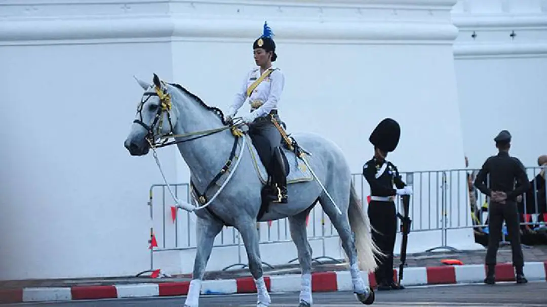 "เว-คาลาตา" ม้าทรงประจำพระองค์หญิงสิริวัณณวรีฯ "เว-คาลาตา" ม้าทรงประจำพระองค์หญิงสิริวัณณวรีฯ