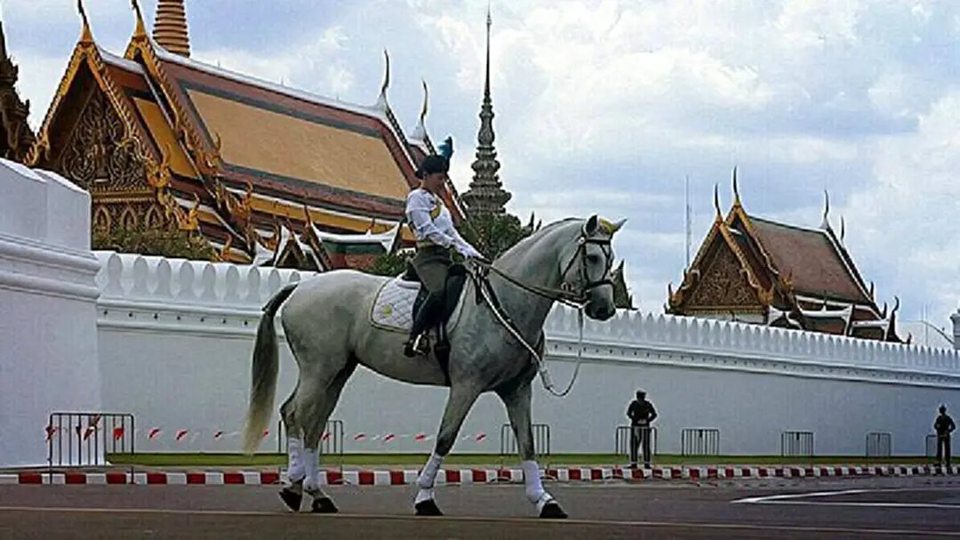 "พระองค์หญิงฯ" ร่วมซ้อมขบวนพระบรมราชอิสริยยศ ในริ้วขบวนที่ 6 ตำแหน่งผู้บังคับกองทหารม้าเกียรติยศ "พระองค์หญิงฯ" ร่วมซ้อมขบวนพระบรมราชอิสริยยศ ในริ้วขบวนที่ 6 ตำแหน่งผู้บังคับกองทหารม้าเกียรติยศ