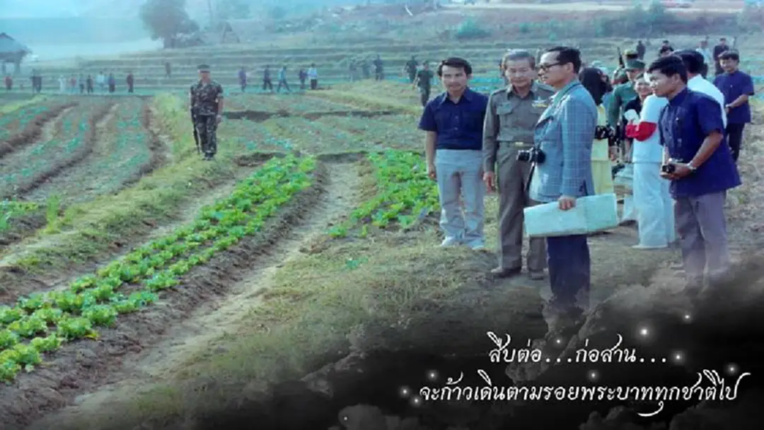 "ในหลวง ร.๙" เปลี่ยนพื้นที่ปลูกฝิ่น สู่ผลิตภัณฑ์คุณภาพ "ดอยคำ" "ในหลวง ร.๙" เปลี่ยนพื้นที่ปลูกฝิ่น สู่ผลิตภัณฑ์คุณภาพ "ดอยคำ"