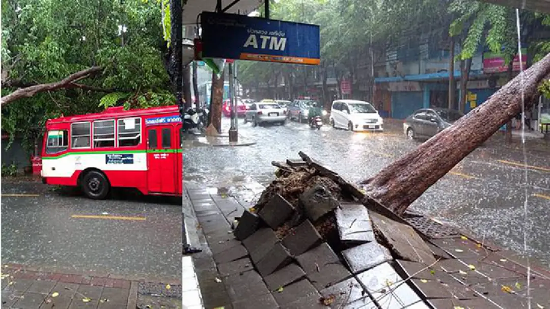ฝนกระหน่ำอินทามระ...หอบลูกเห็บมาด้วย! - ลมแรงพัดต้นไม้ล้ม กีดขวางทางจราจร ฝนกระหน่ำอินทามระ...หอบลูกเห็บมาด้วย! - ลมแรงพัดต้นไม้ล้ม กีดขวางทางจราจร