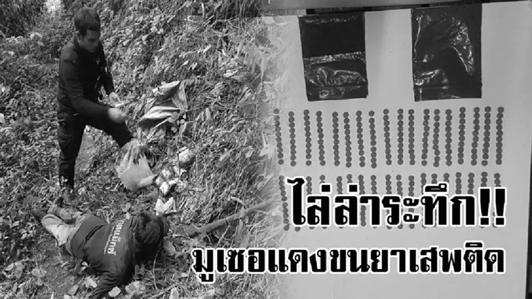 ไล่ล่าระทึก !! ทหารพรานบุกจับ มูเซอแดงขนยาเสพติด ได้ 1 ราย พร้อมยาบ้า และฝิ่นดิบกลางดอย