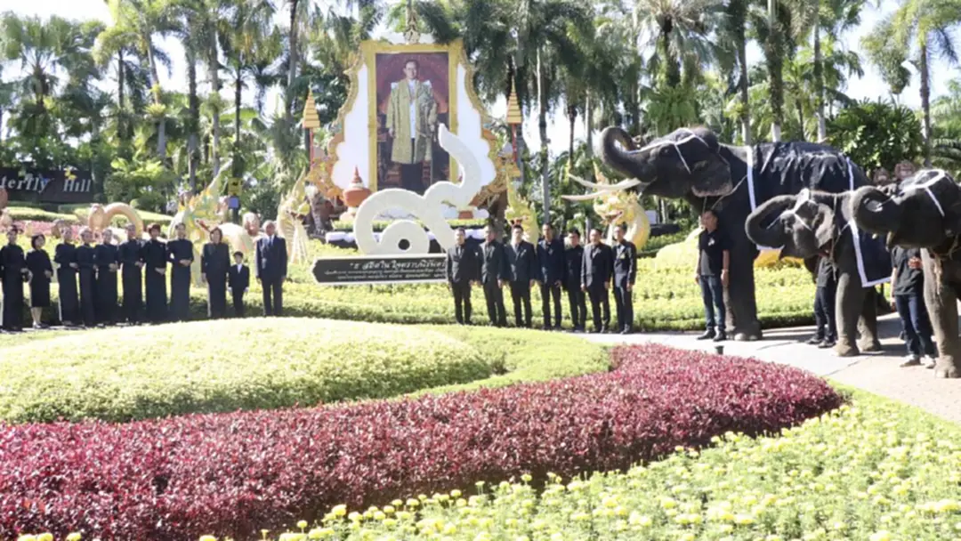 สวนนงนุชพัทยาเนรมิตสวนดอกไม้ถวายอาลัย"ในหลวงร.9" สวนนงนุชพัทยาเนรมิตสวนดอกไม้ถวายอาลัย"ในหลวงร.9"