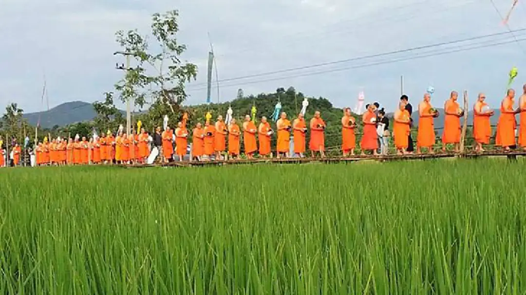 พระสงฆ์ 89 รูป จ.เชียงราย บิณฑบาตรบนสะพานไม้ไผ่ยาว800เมตรถวายพระราชกุศล พระสงฆ์ 89 รูป จ.เชียงราย บิณฑบาตรบนสะพานไม้ไผ่ยาว800เมตรถวายพระราชกุศล