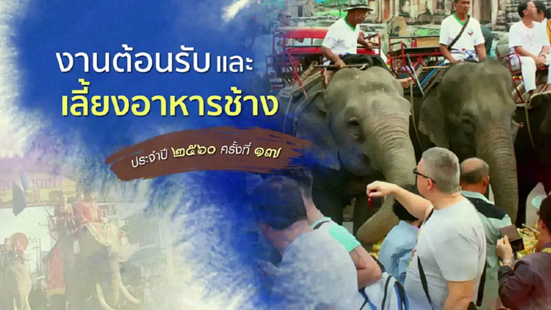 วิถีชีวิตคนเเละช้างเมืองสุรินทร์ วิถีชีวิตคนเเละช้างเมืองสุรินทร์